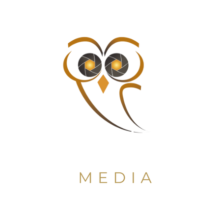 Logo for company NightOwl Media